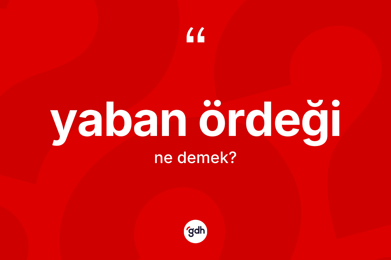 Yaban ördeği kelimesi ne anlama gelir? Yaban ördeğinin TDK'ya göre anlamı nedir?