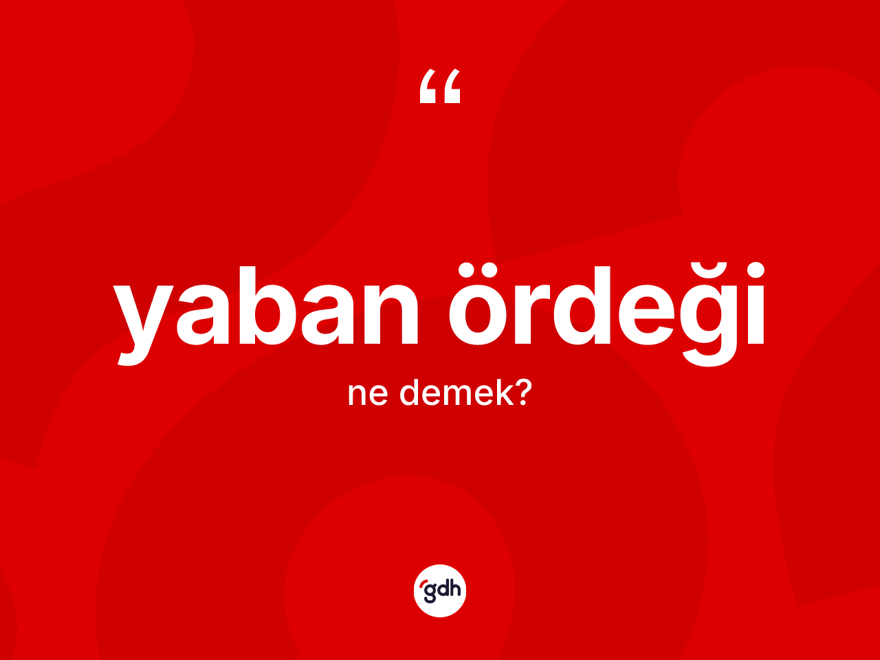 Yaban ördeği kelimesi ne anlama gelir? Yaban ördeğinin TDK'ya göre anlamı nedir?