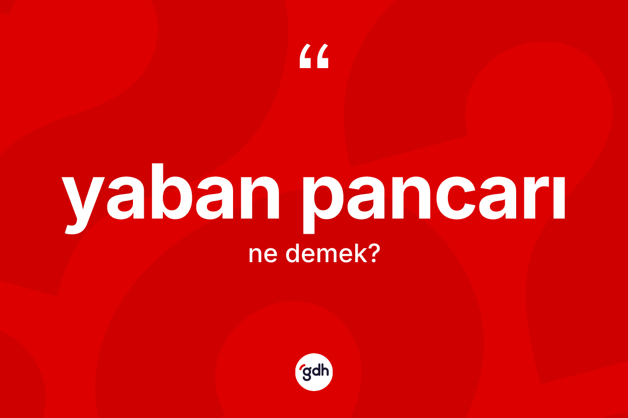 Yaban pancarı ne demek? Yaban pancarının TDK'ya göre anlamı nedir?