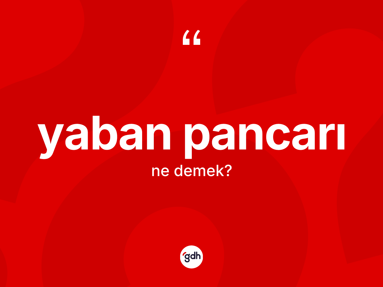 Yaban pancarı ne demek? Yaban pancarının TDK'ya göre anlamı nedir?