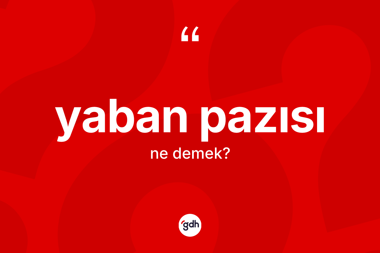 Yaban pazısı kelimesi ne demek? Yaban pazısının halk arasındaki kullanımı nasıldır?