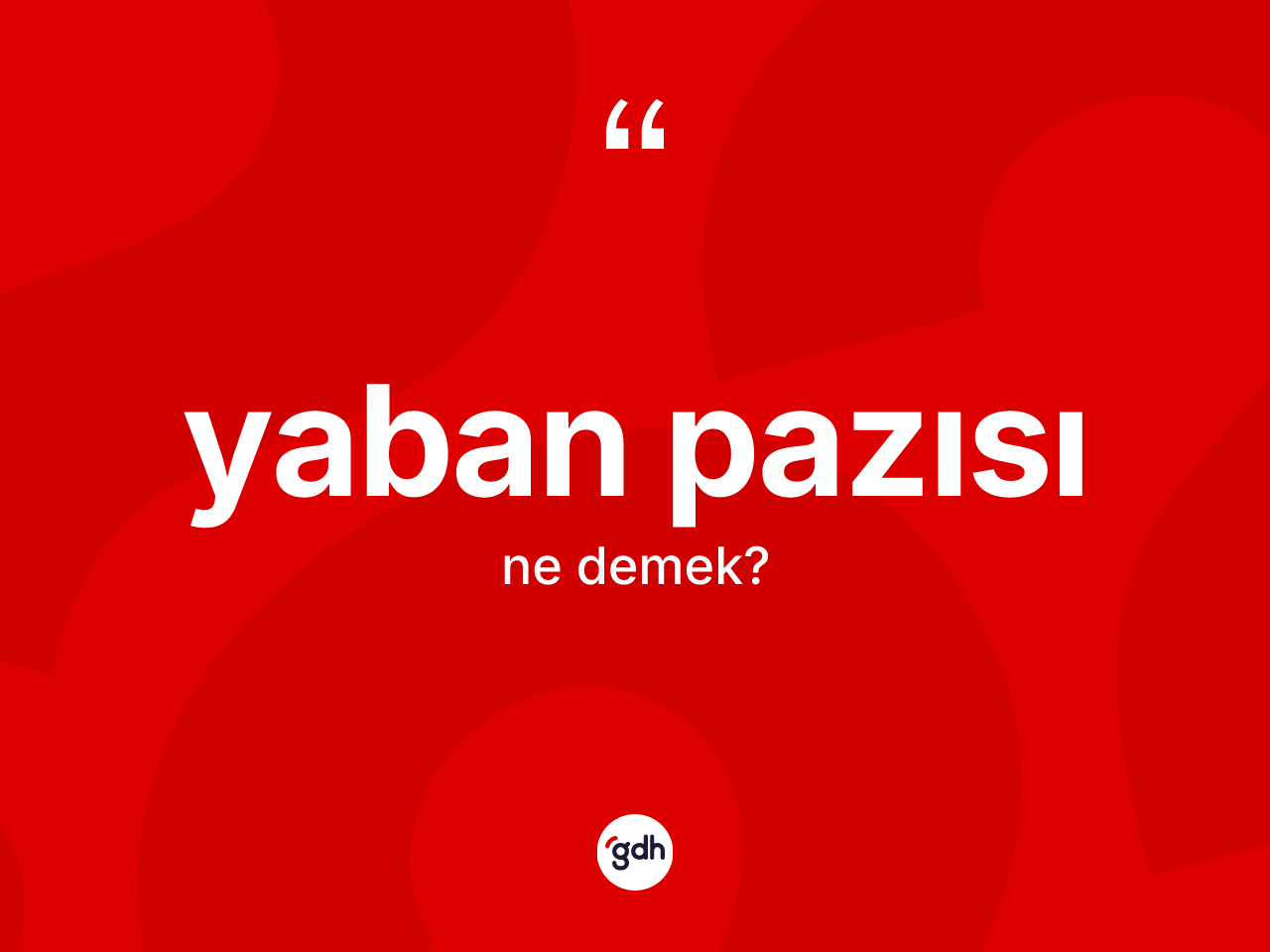 Yaban pazısı kelimesi ne demek? Yaban pazısının halk arasındaki kullanımı nasıldır?