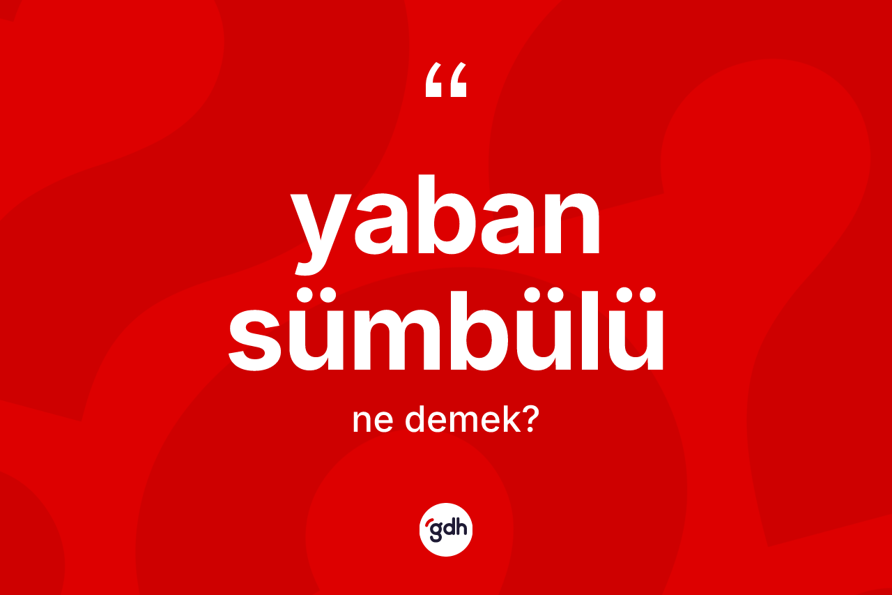 Yaban sümbülü kelimesi nedir? Yaban sümbülü kelimesinin kaç farklı anlamı var?