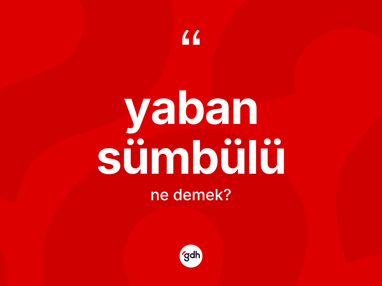 Yaban sümbülü kelimesi nedir? Yaban sümbülü kelimesinin kaç farklı anlamı var?