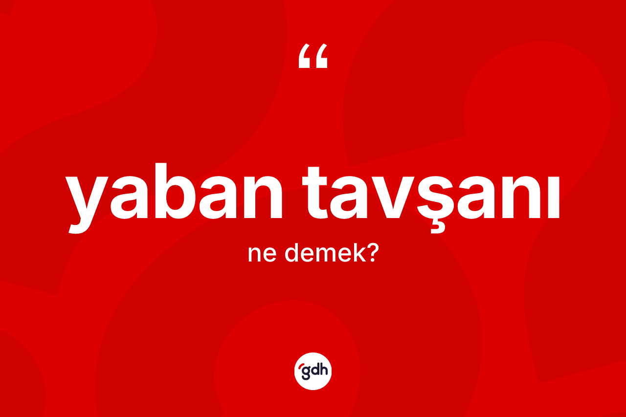 Yaban tavşanı kelimesi ne anlama gelir? Yaban tavşanının sözlükteki anlamı nedir?