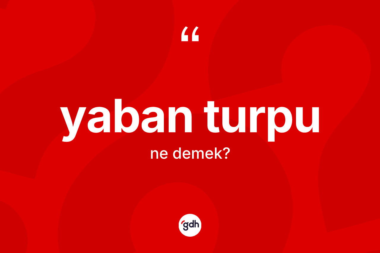 Yaban turpu nedir? Yaban turpunun TDK'ya göre anlamı nedir?