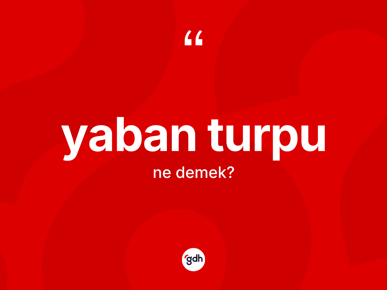 Yaban turpu nedir? Yaban turpunun TDK'ya göre anlamı nedir?