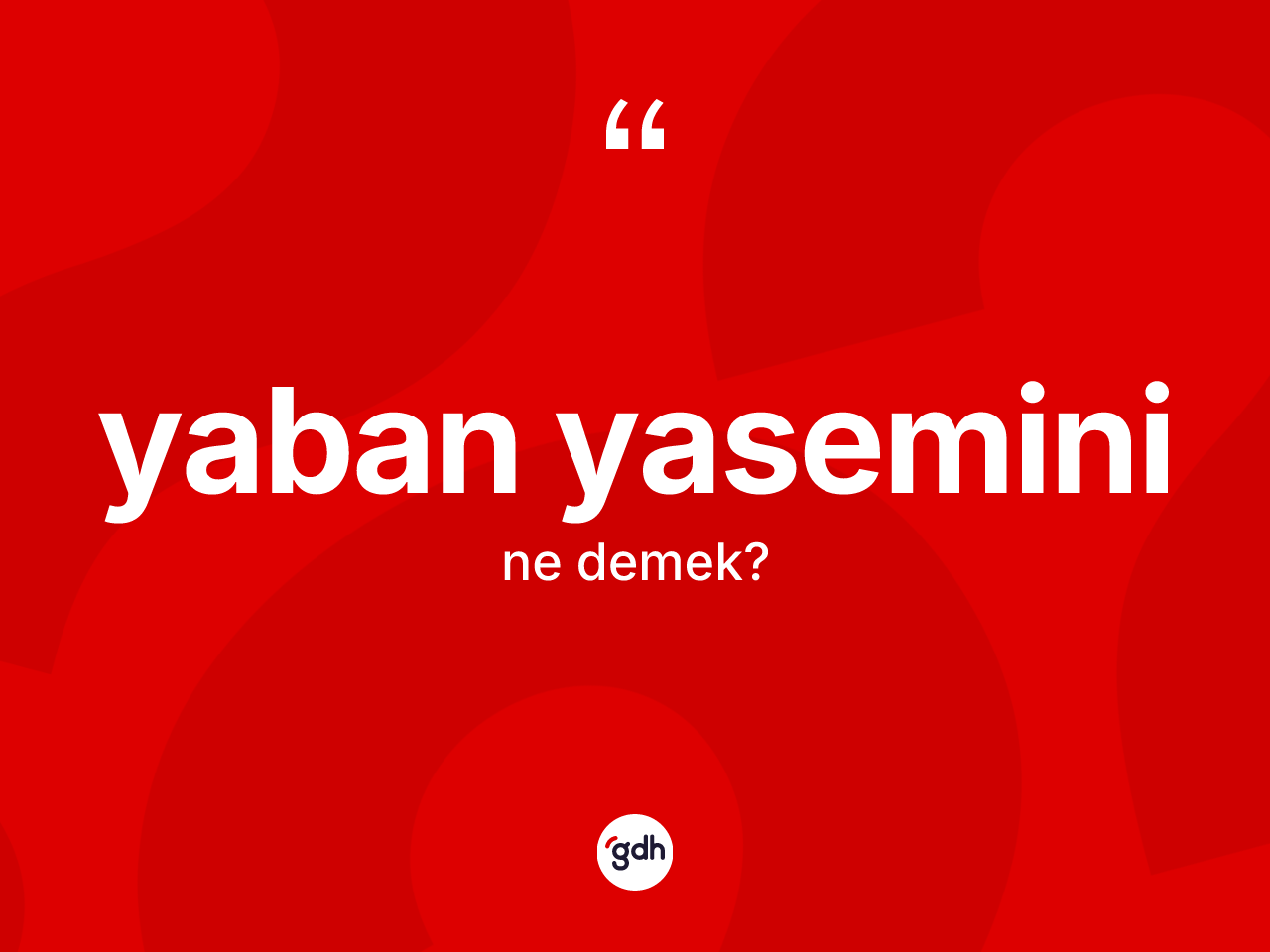 Yaban yasemini kelimesinin anlamı nedir? Yaban yasemininin TDK'ya göre anlamı nedir?