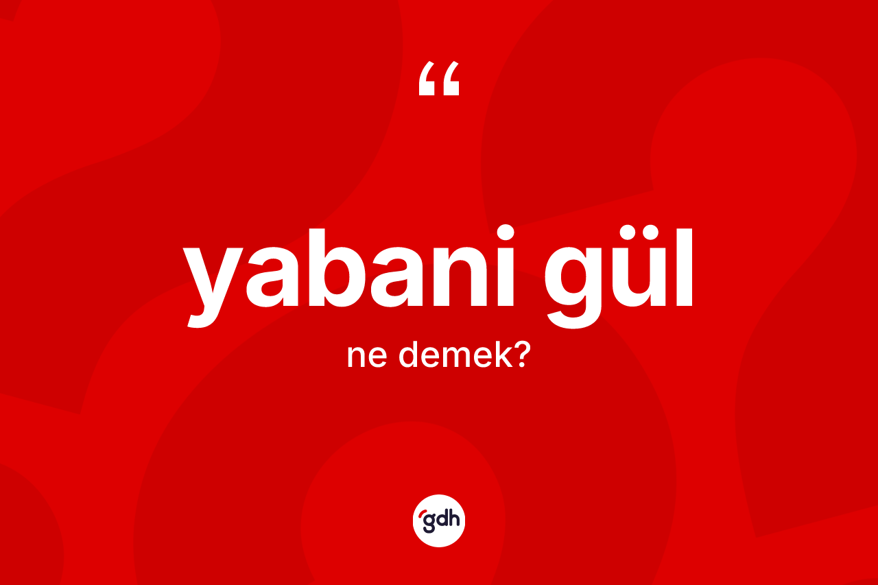 Yabani gül kelimesi nedir? Yabani gül kelimesinin TDK'ya göre açıklaması nedir?