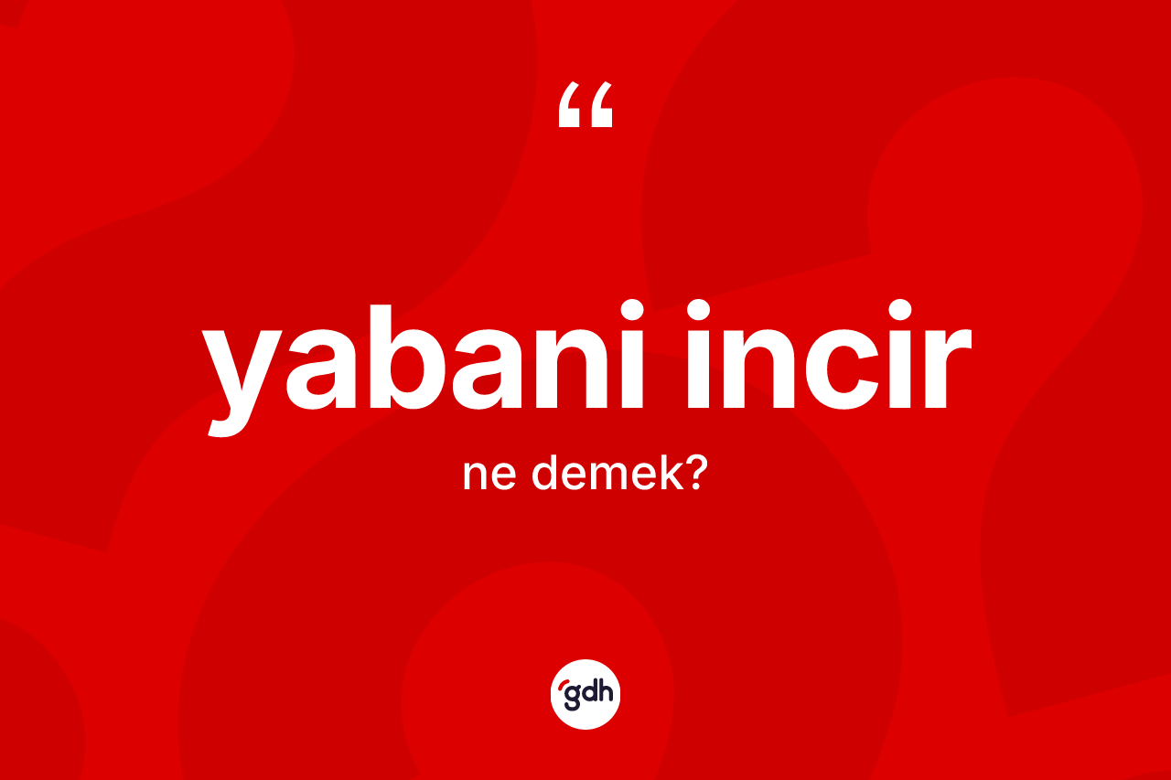 Yabani incir kelimesinin anlamı nedir? Yabani incir kelimesinin TDK anlamı nedir?