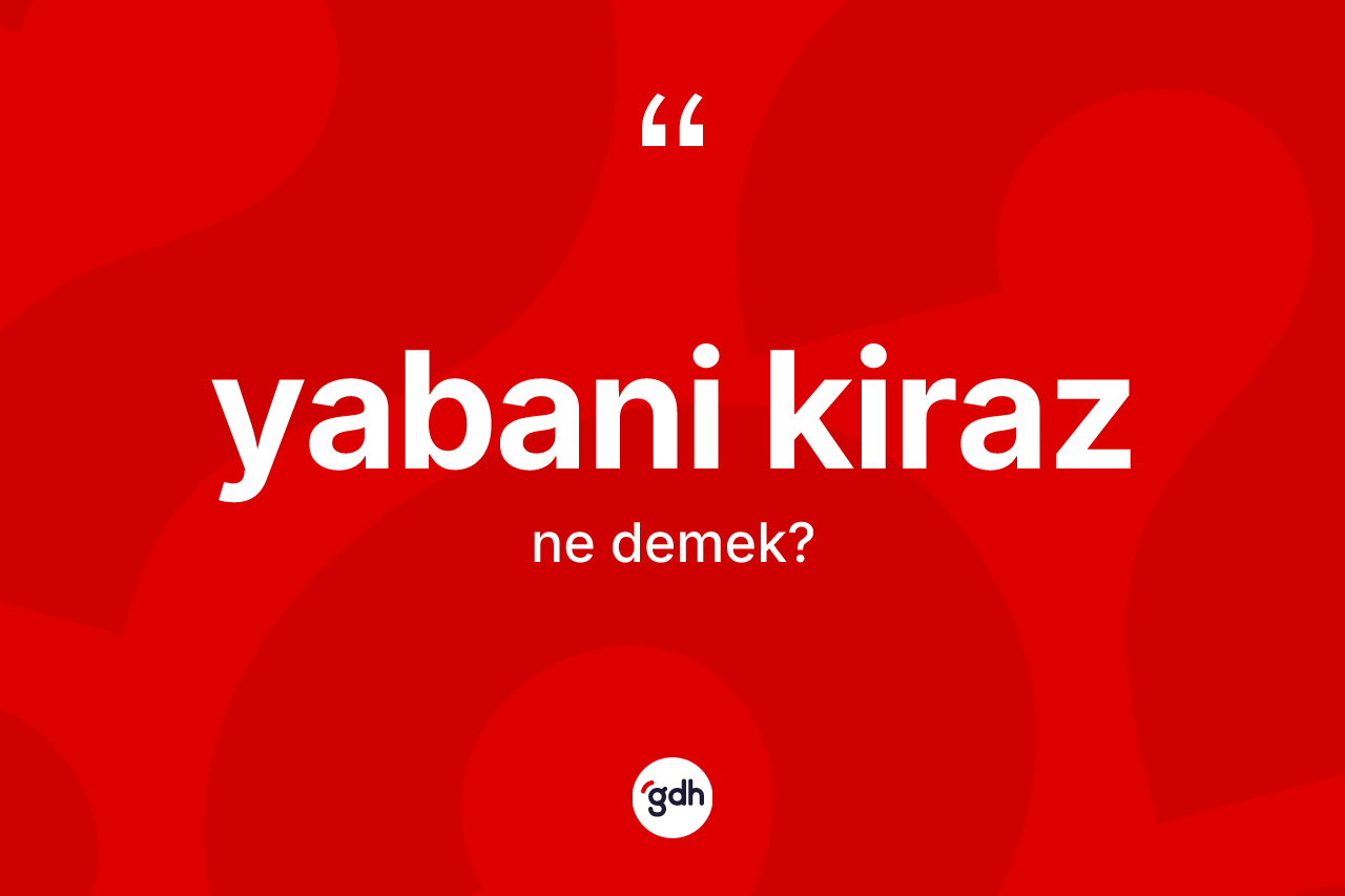 Yabani kiraz kelimesi ne anlama gelir? Yabani kirazın TDK'ya göre anlamı nedir?