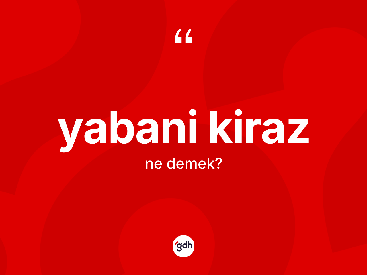Yabani kiraz kelimesi ne anlama gelir? Yabani kirazın TDK'ya göre anlamı nedir?