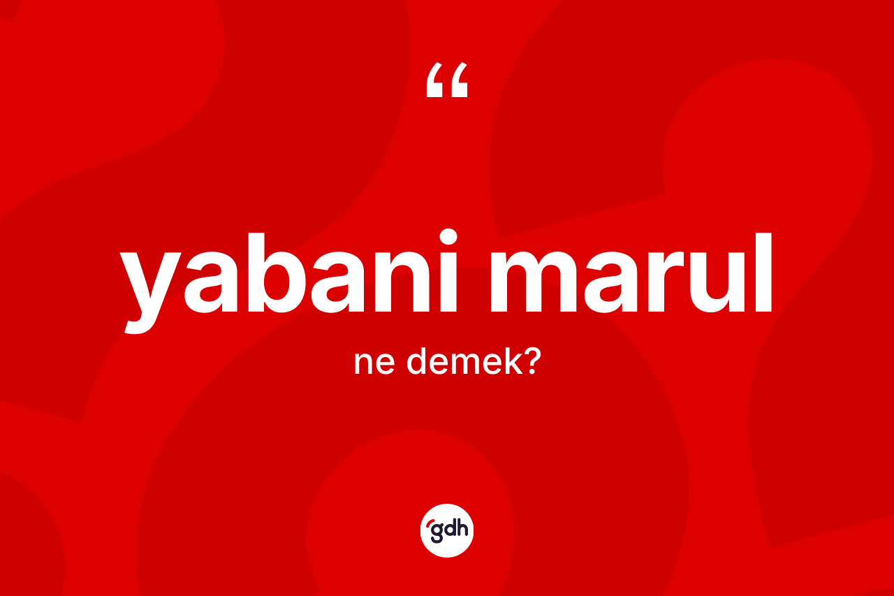 Yabani marul kelimesinin sözlükteki tanımı nedir? Yabani marulun sözlükteki anlamı nedir?