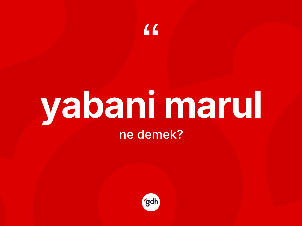 Yabani marul kelimesinin sözlükteki tanımı nedir? Yabani marulun sözlükteki anlamı nedir?