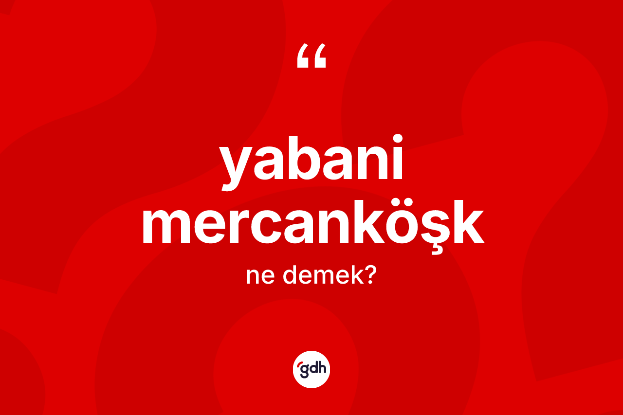 Yabani mercanköşk ne anlama gelir? Yabani mercanköşk kelimesinin kaç farklı anlamı var?