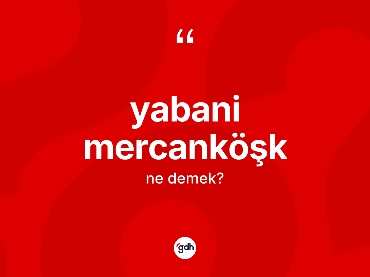 Yabani mercanköşk ne anlama gelir? Yabani mercanköşk kelimesinin kaç farklı anlamı var?