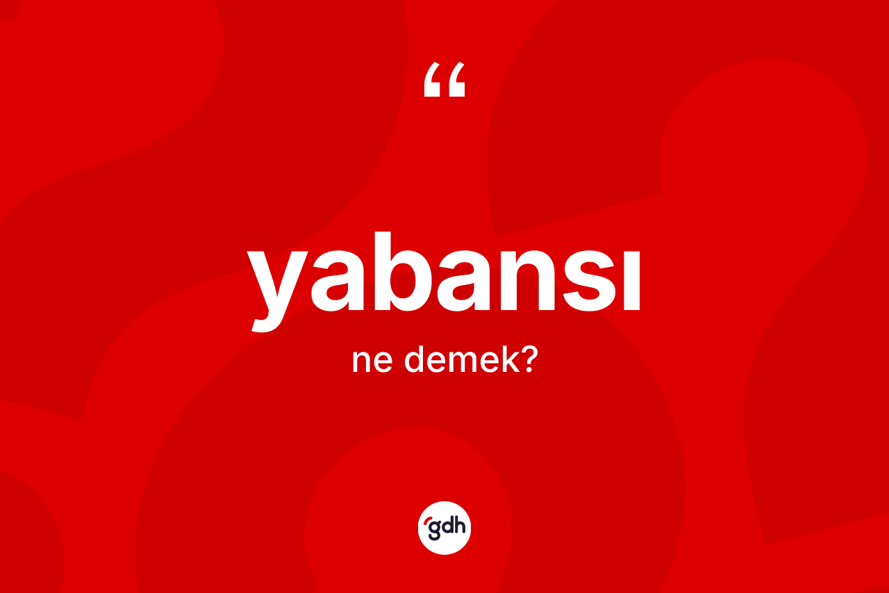 Yabansı kelimesinin tanımı nedir? Yabansı kelimesinin TDK anlamı nedir?