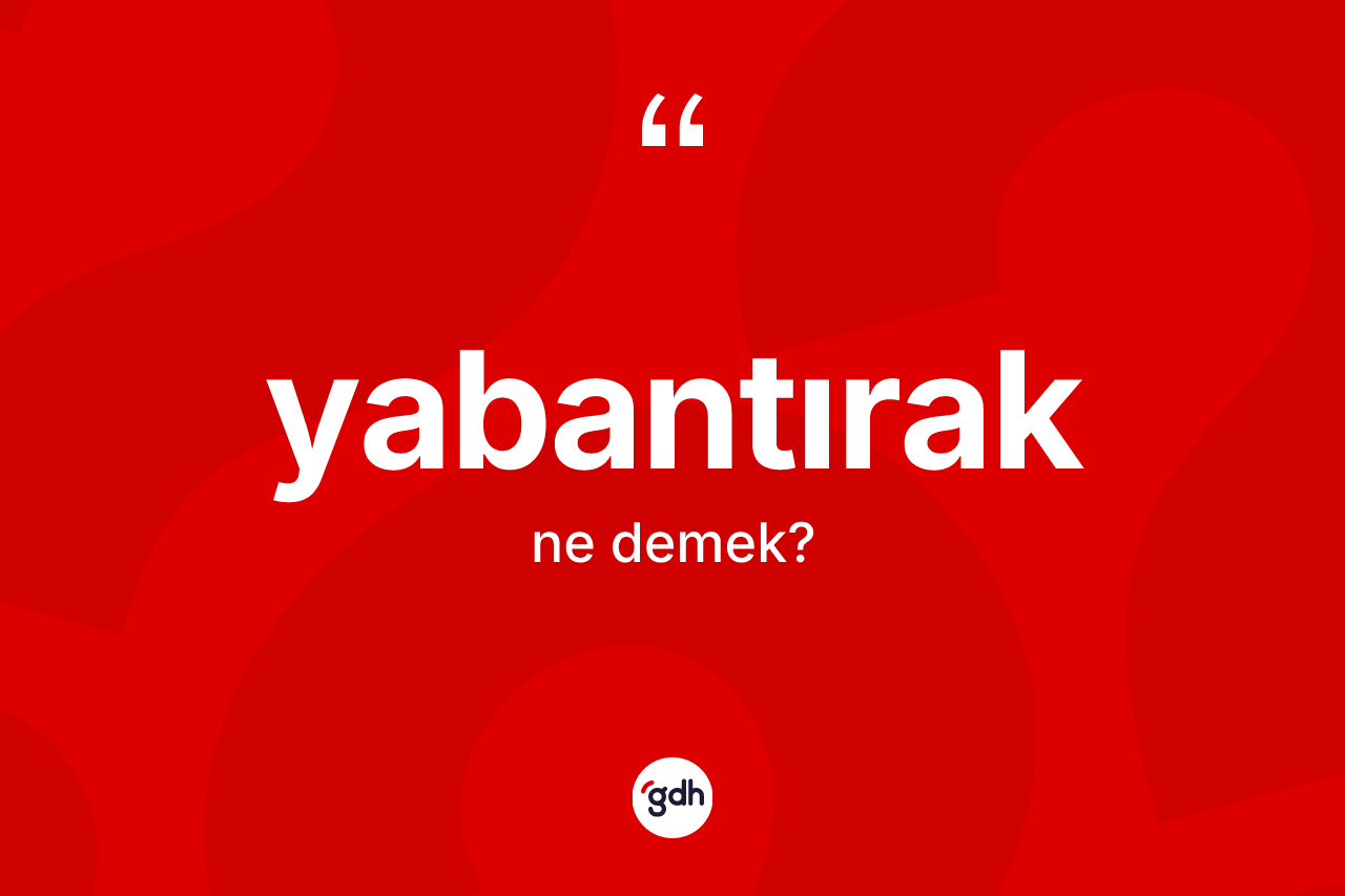 Yabantırak kelimesi nedir? Yabantırak kelimesinin özellikleri nelerdir?