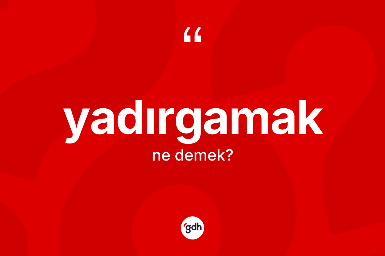 Yadırgamak kelimesi ne anlama gelir? Yadırgamağın TDK'ya göre anlamı nedir?