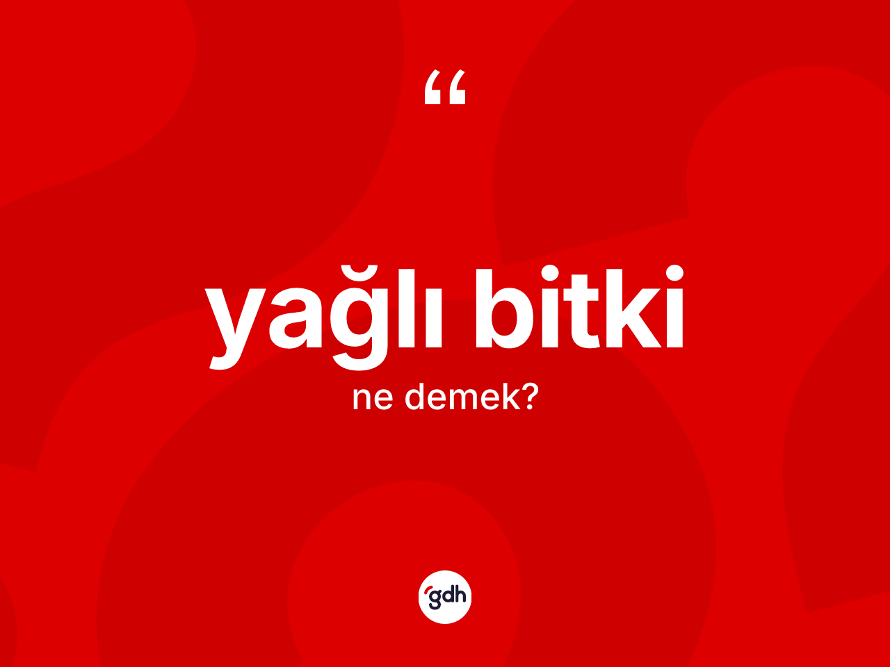 Yağlı bitki kelimesi ne anlama gelir? Yağlı bitkinin halk arasındaki kullanımı nasıldır?
