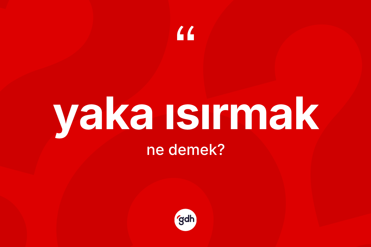 Yaka ısırmak ifadesinin anlamı nedir? Yaka ısırmak sözünün TDK tanımı nedir?