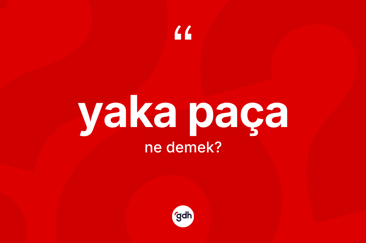 Yaka paça kelimesinin tanımı nedir? Yaka paçanın TDK'ya göre anlamı nedir?