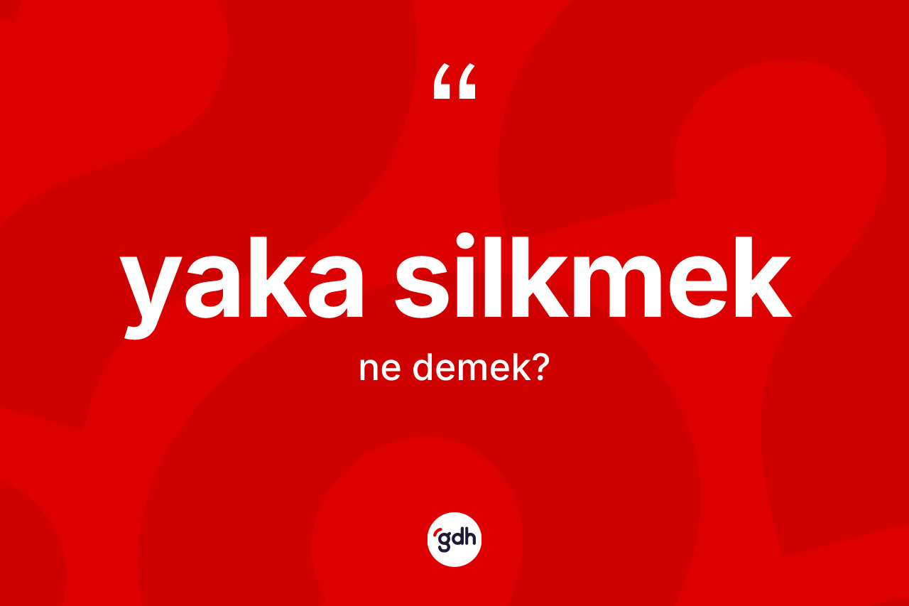 Yaka silkmek ne anlama gelir? Yaka silkmek ifadesinin TDK'ya göre açıklaması nedir?