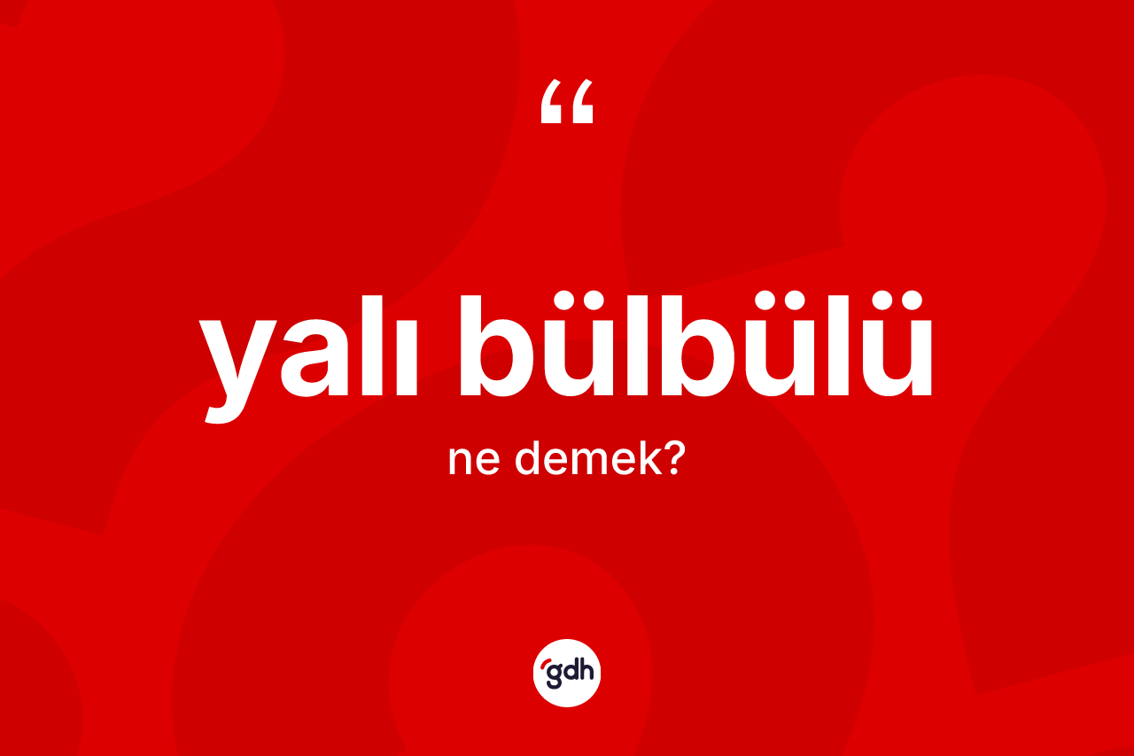 Yalı bülbülü kelimesinin anlamı nedir? Yalı bülbülünün TDK'ya göre anlamı nedir?
