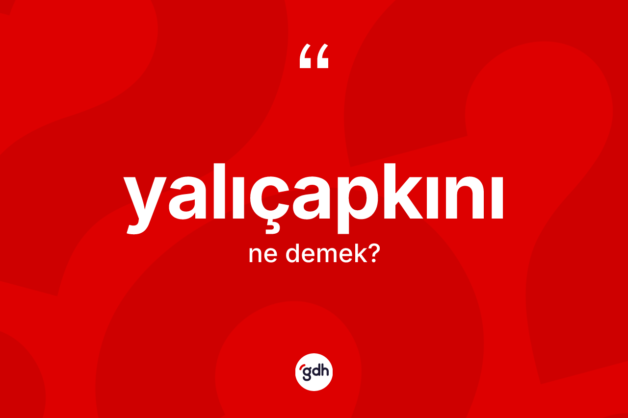 Yalıçapkını kelimesinin tanımı nedir? Yalıçapkını kelimesinin kaç farklı anlamı var?