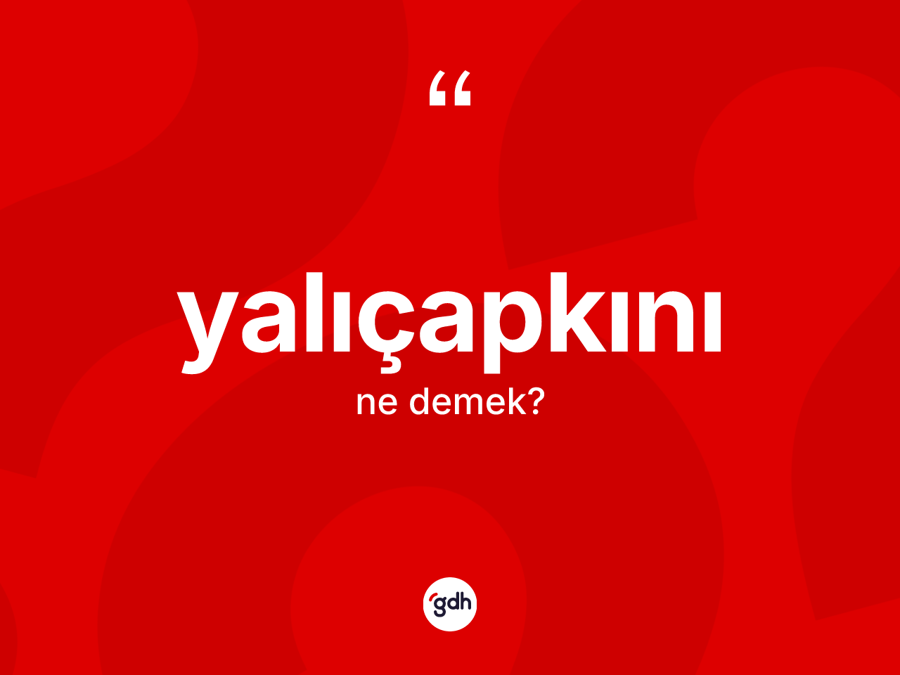 Yalıçapkını kelimesinin tanımı nedir? Yalıçapkını kelimesinin kaç farklı anlamı var?