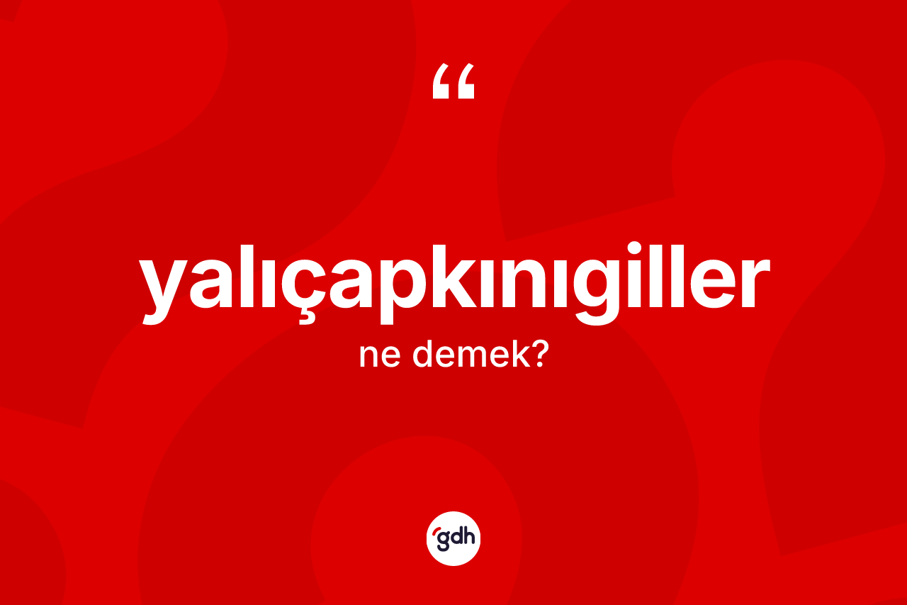 Yalıçapkınıgiller kelimesinin tanımı nedir? Yalıçapkınıgillerin kısaca tanımı nedir?
