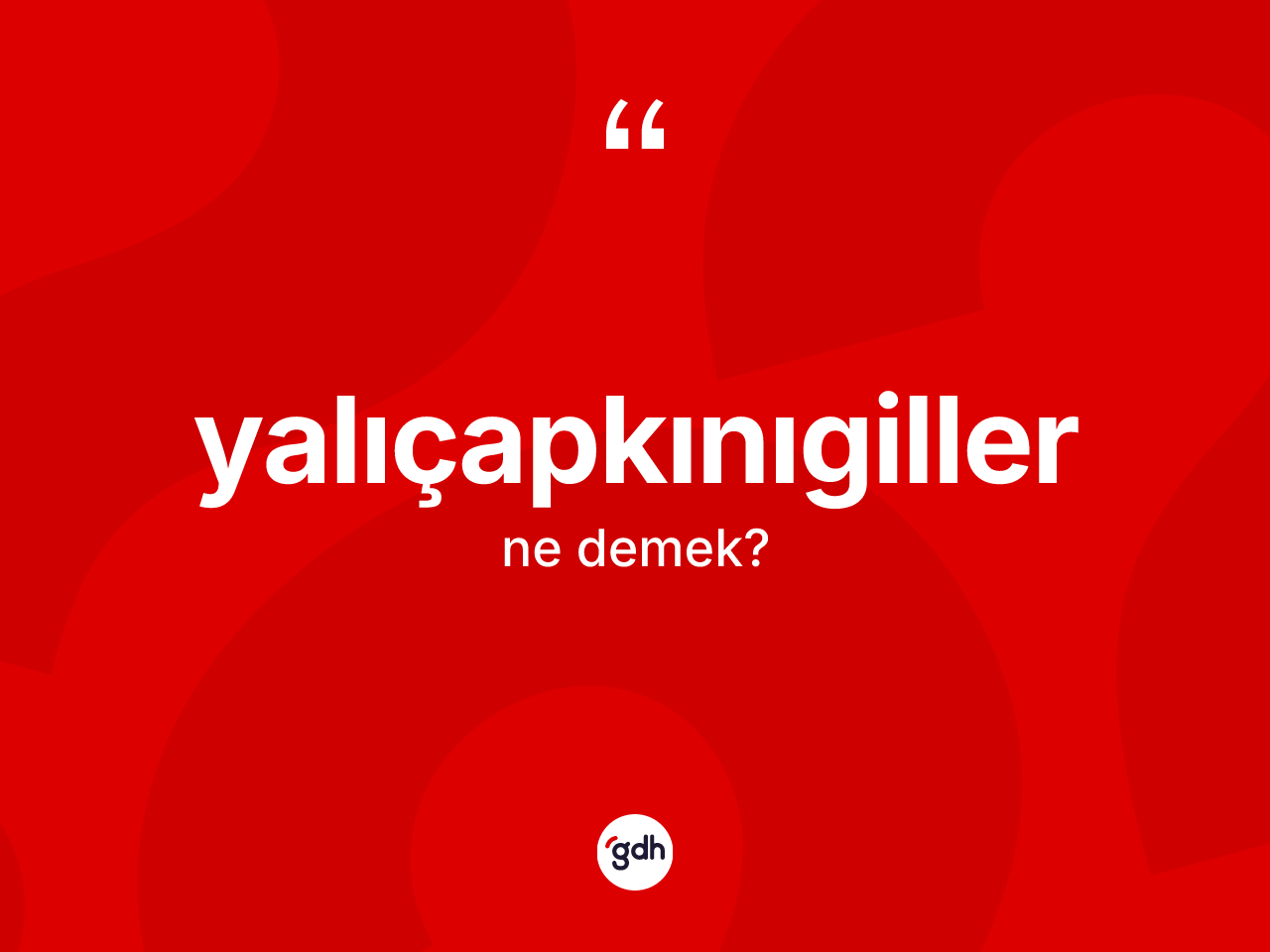 Yalıçapkınıgiller kelimesinin tanımı nedir? Yalıçapkınıgillerin kısaca tanımı nedir?