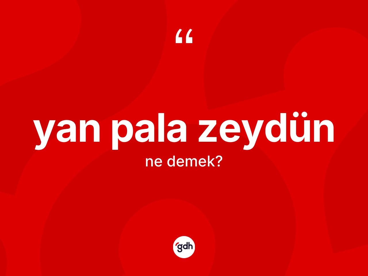 Yan pala Zeydün ifadesinin kısaca anlamı nedir? Yan pala Zeydün ifadesinin kaç farklı anlamı var?