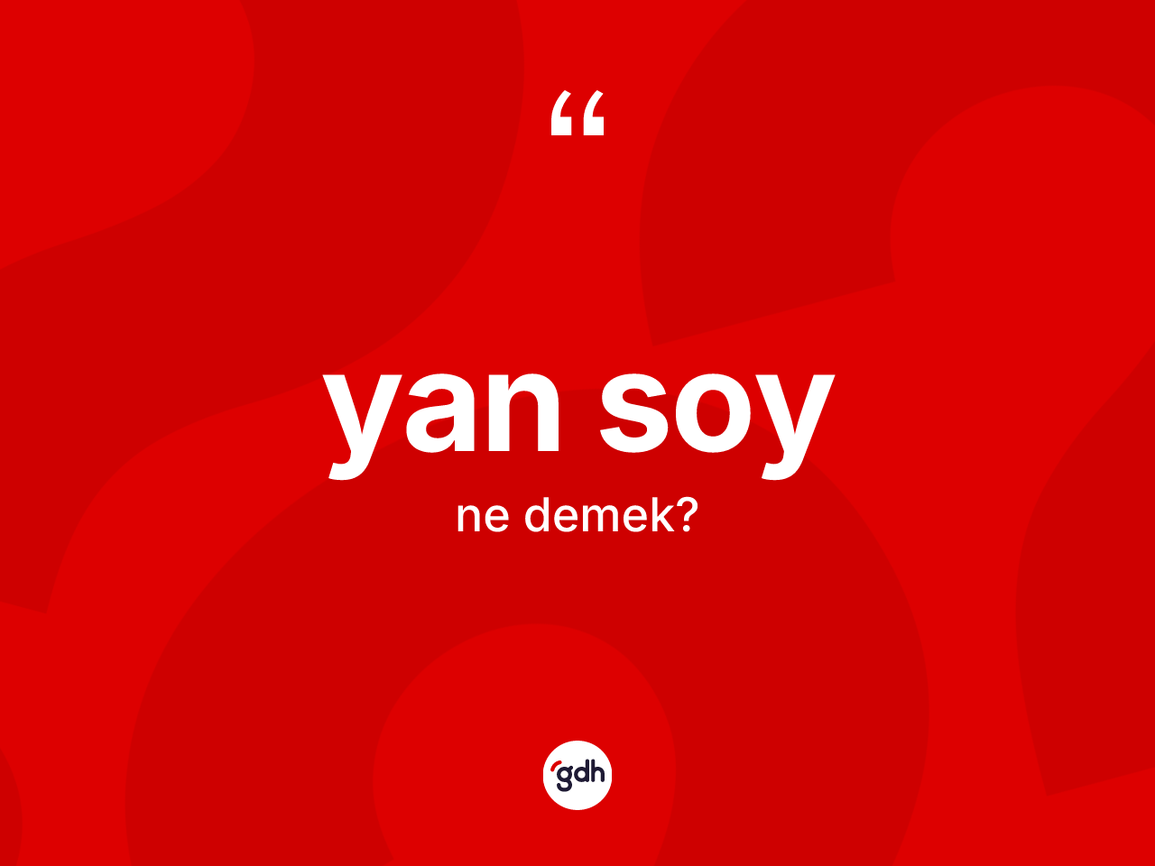 Yan soy kelimesinin tanımı nedir? Yan soy kelimesinin TDK'ya göre açıklaması nedir?
