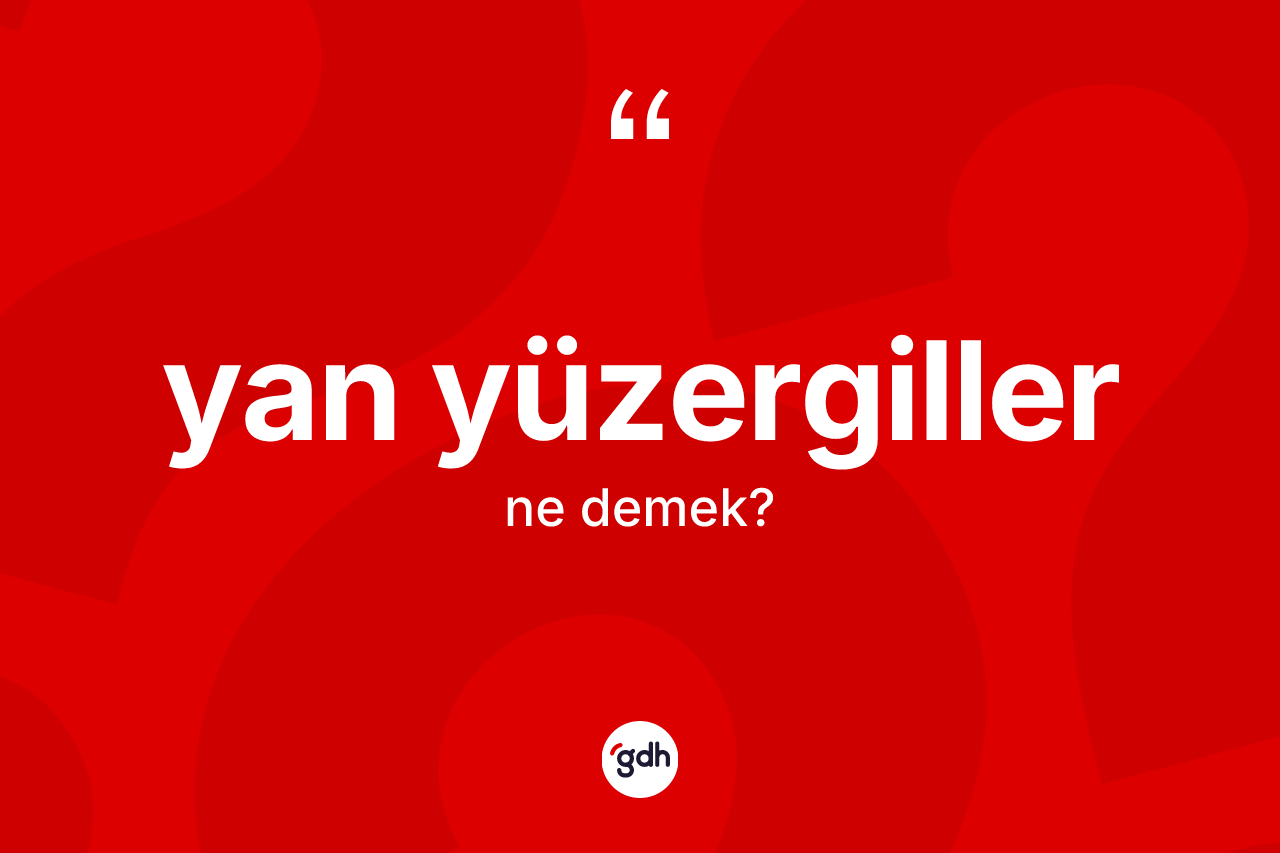Yan yüzergiller ne demek? Yan yüzergiller kelimesinin TDK'ya göre açıklaması nedir?