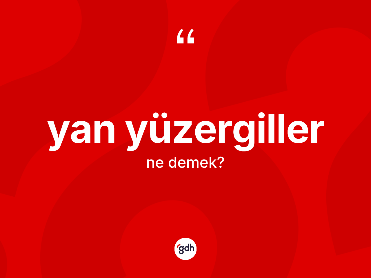 Yan yüzergiller ne demek? Yan yüzergiller kelimesinin TDK'ya göre açıklaması nedir?