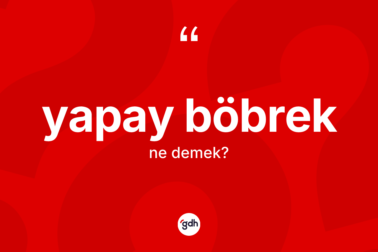 Yapay böbrek ne anlama gelir? Yapay böbreğin TDK'ya göre anlamı nedir?