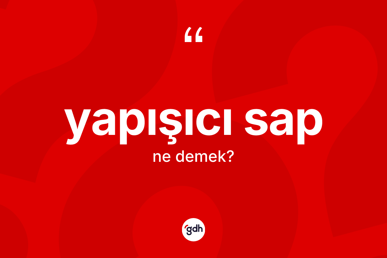 Yapışıcı sap kelimesinin sözlükteki tanımı nedir? Yapışıcı sabın kısaca tanımı nedir?