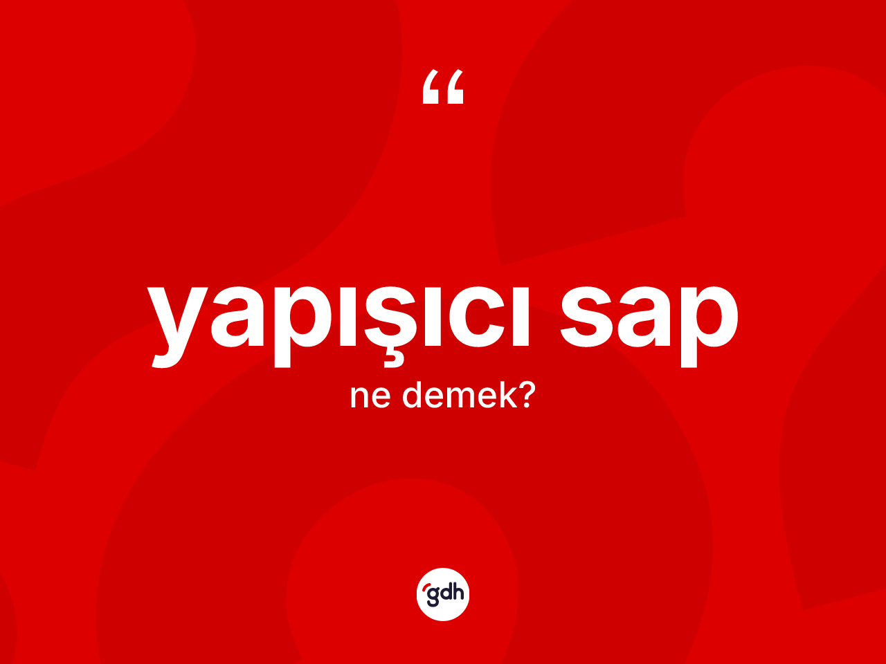 Yapışıcı sap kelimesinin sözlükteki tanımı nedir? Yapışıcı sabın kısaca tanımı nedir?