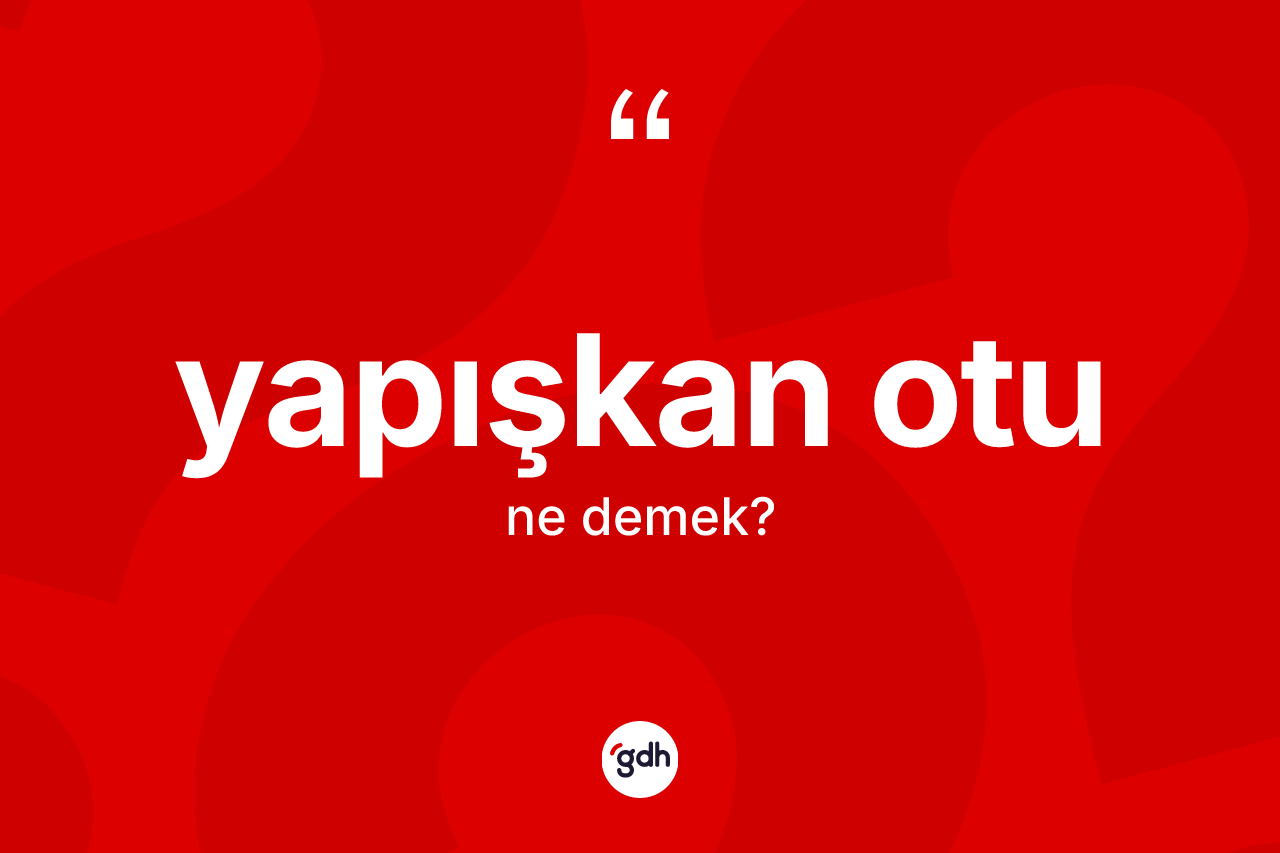 Yapışkan otu kelimesi ne demek? Yapışkan otunun kısaca tanımı nedir?
