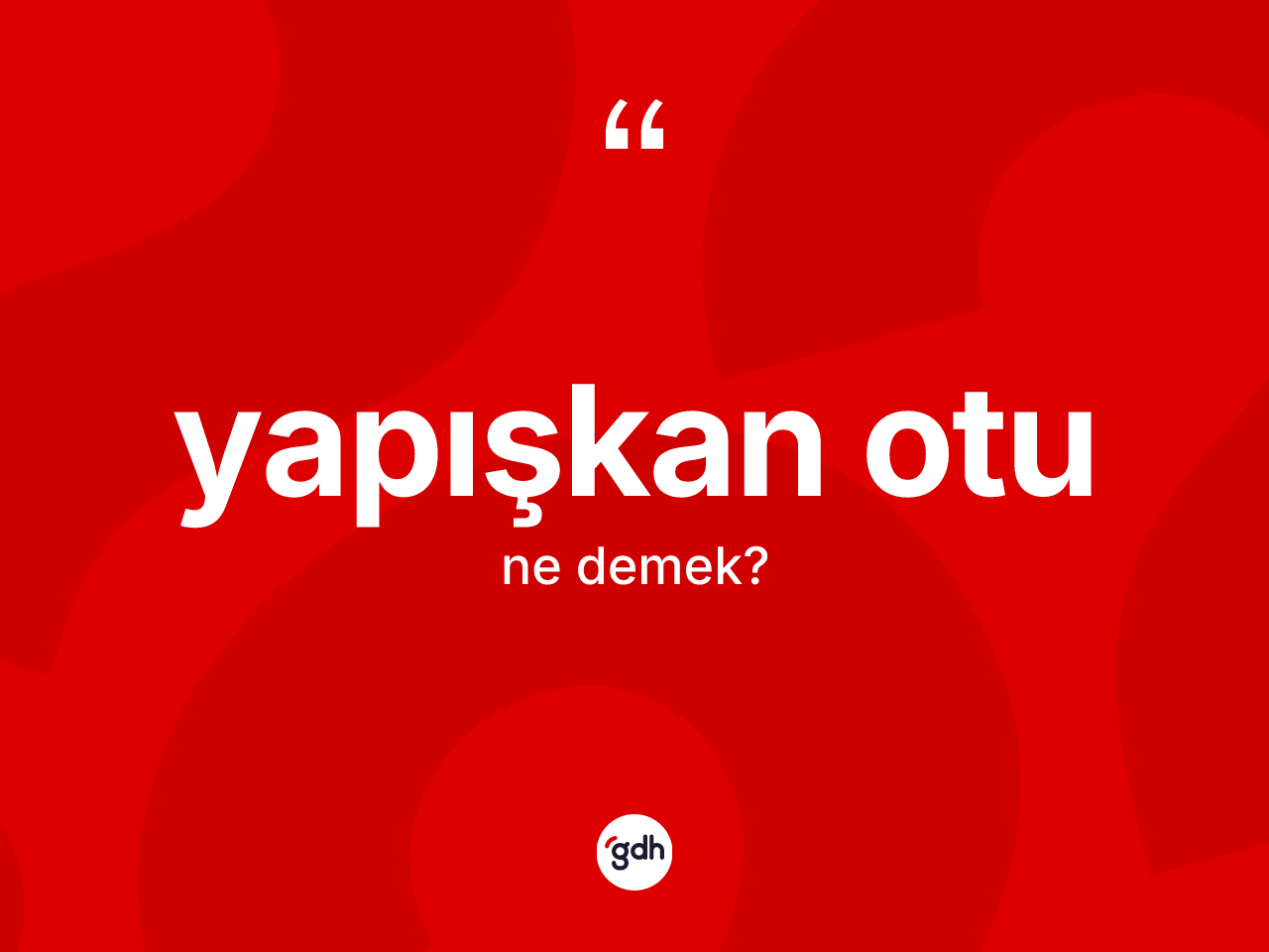 Yapışkan otu kelimesi ne demek? Yapışkan otunun kısaca tanımı nedir?