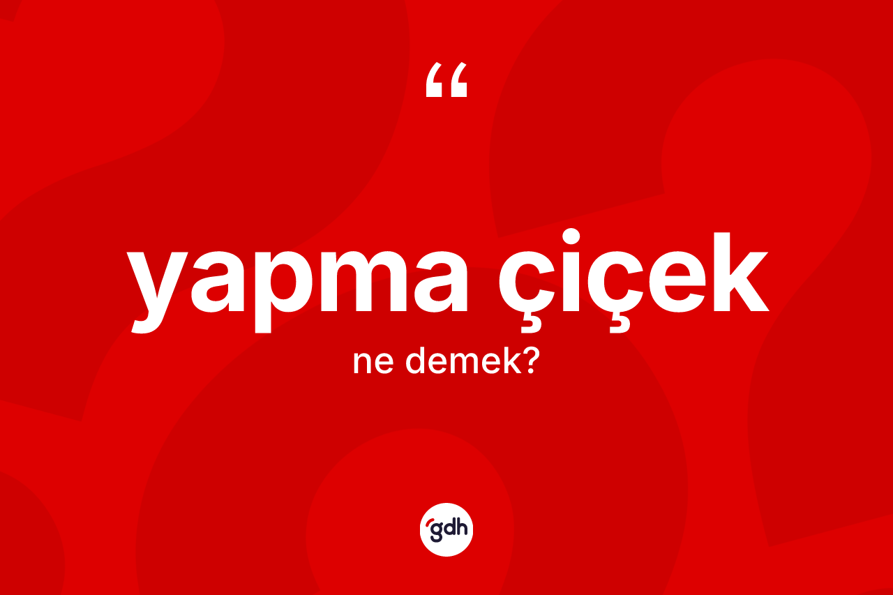 Yapma çiçek ne demek? Yapma çiçek kelimesinin kaç farklı anlamı var?