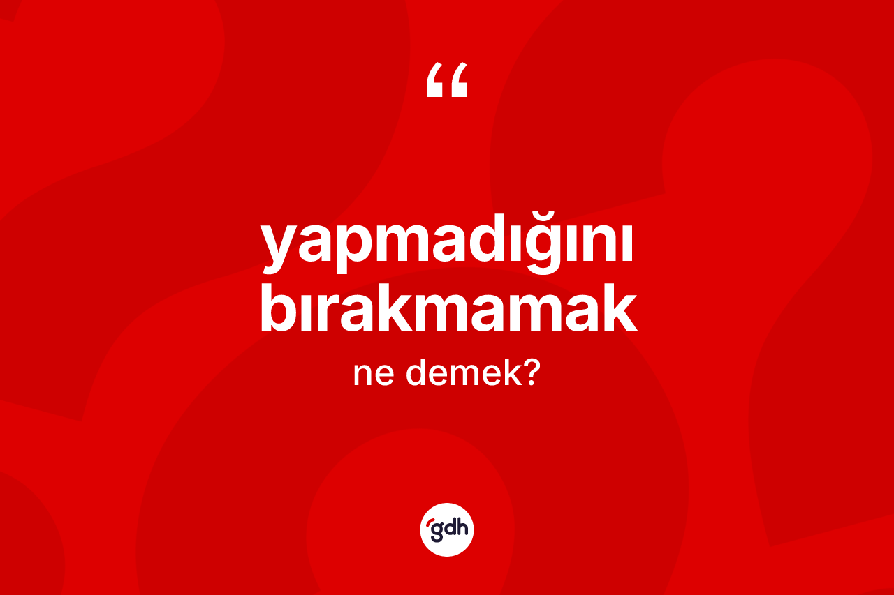 Yapmadığını bırakmamak ifadesi ne demektir? Yapmadığını bırakmamak ifadesi hangi durumlarda kullanılır?