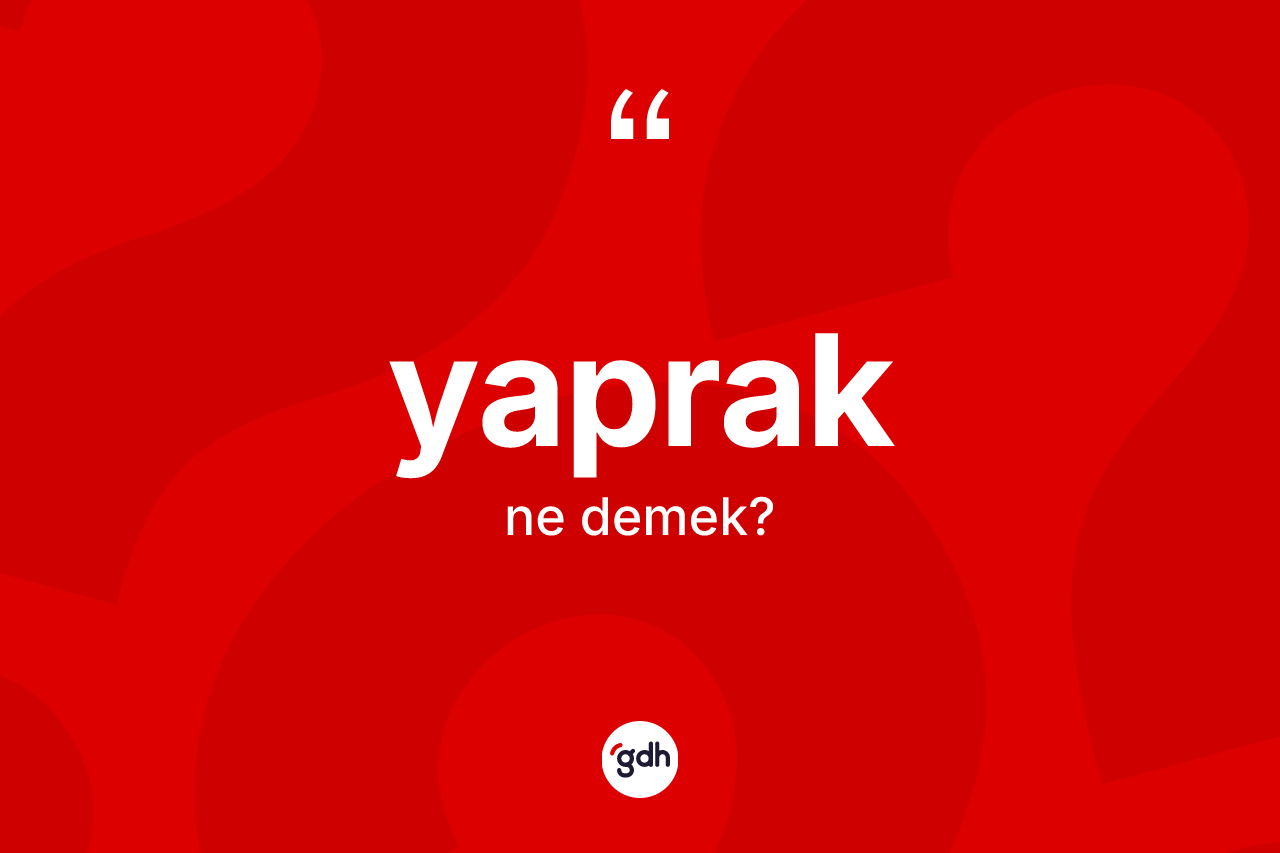 Yaprak kelimesi ne anlama gelir? Yaprağın sözlükteki anlamı nedir?