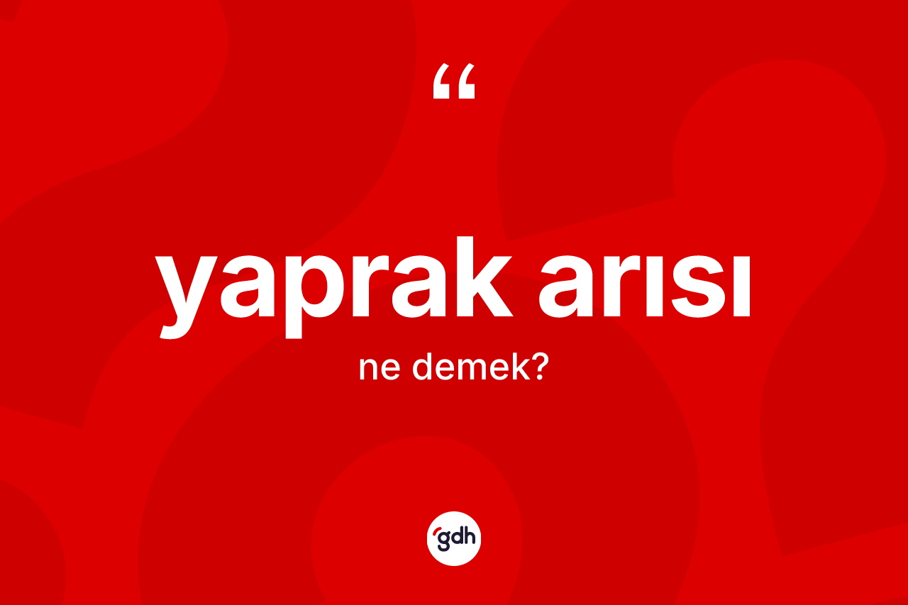 Yaprak arısı kelimesinin sözlükteki tanımı nedir? Yaprak arısının TDK'ya göre anlamı nedir?