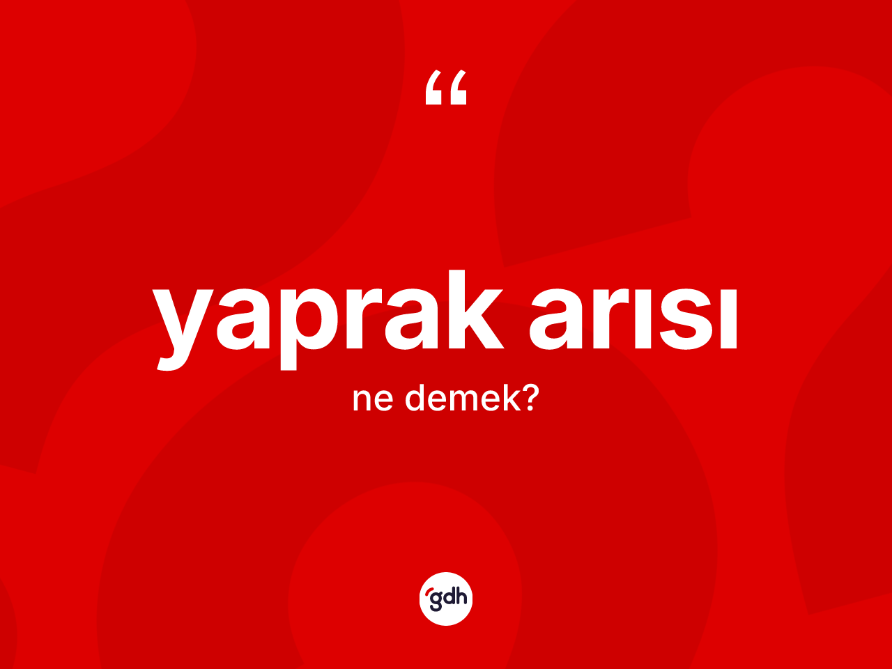 Yaprak arısı kelimesinin sözlükteki tanımı nedir? Yaprak arısının TDK'ya göre anlamı nedir?