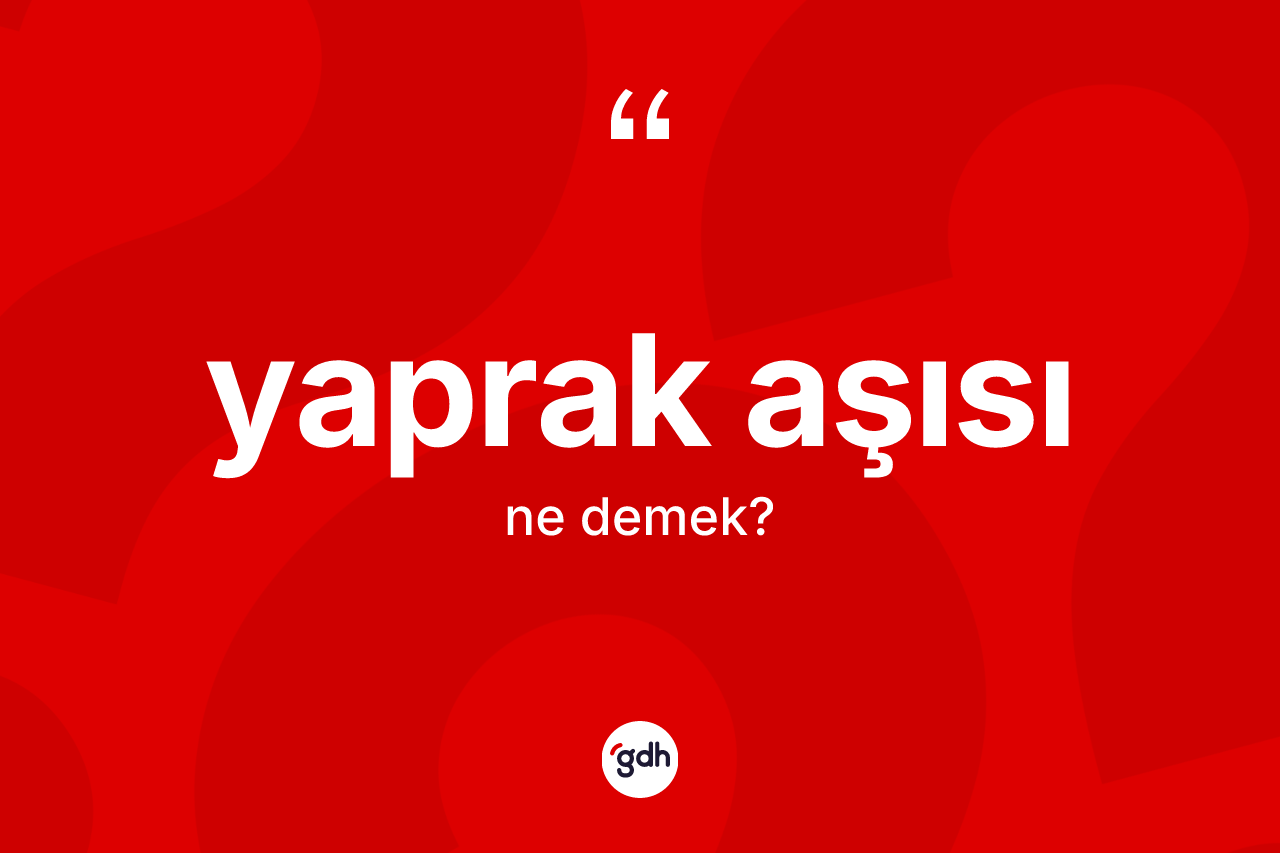 Yaprak aşısı kelimesinin tanımı nedir? Yaprak aşısının TDK'ya göre anlamı nedir?