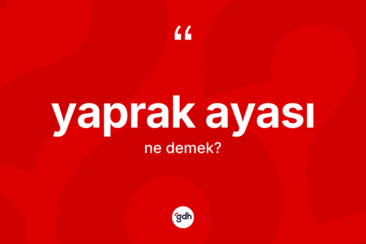 Yaprak ayası kelimesinin anlamı nedir? Yaprak ayasının sözlükteki anlamı nedir?