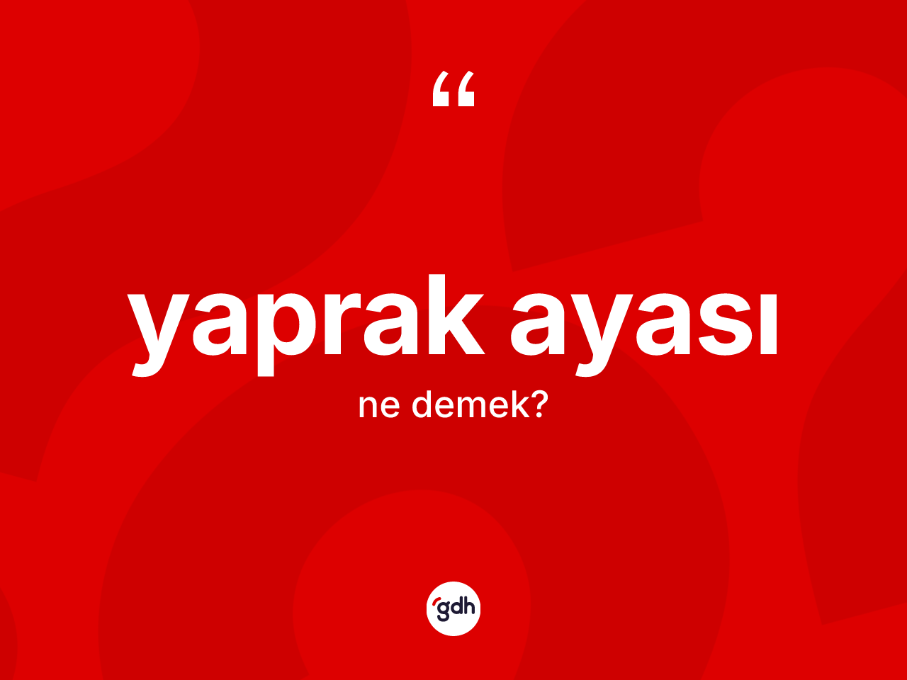 Yaprak ayası kelimesinin anlamı nedir? Yaprak ayasının sözlükteki anlamı nedir?