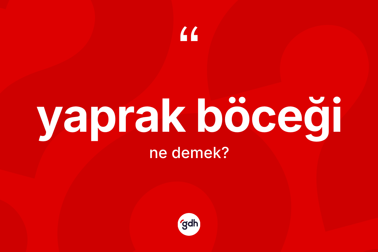 Yaprak böceği kelimesinin tanımı nedir? Yaprak böceği kelimesinin özellikleri nelerdir?